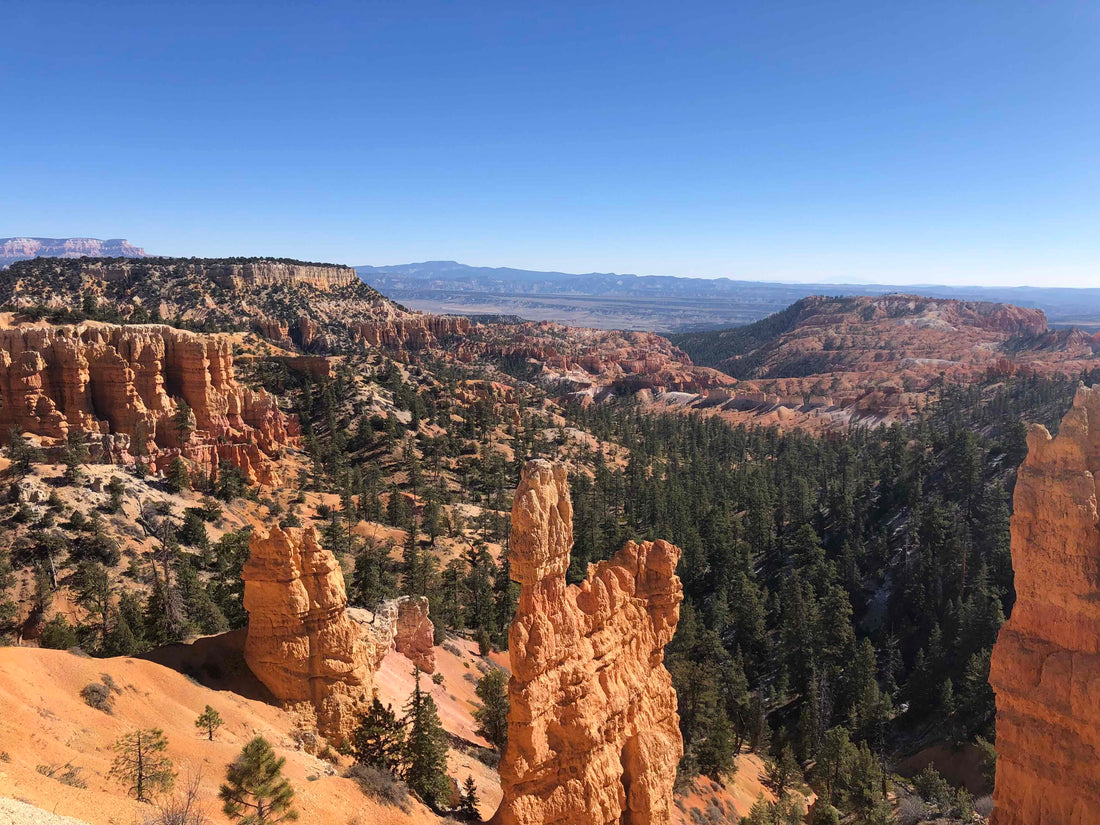 Hikes that Will Surprise You in the American Southwest