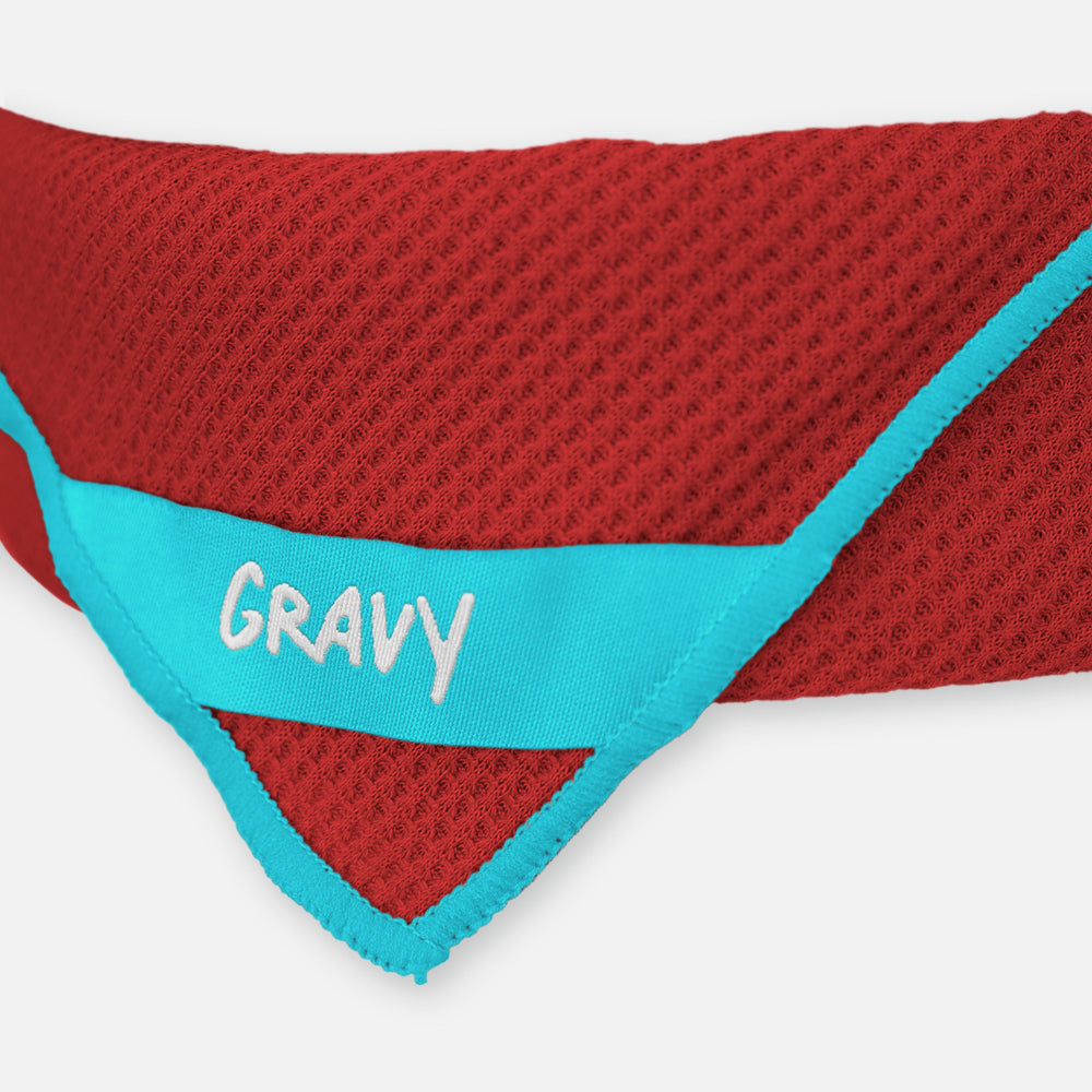 BANDANA - Maroon / Teal