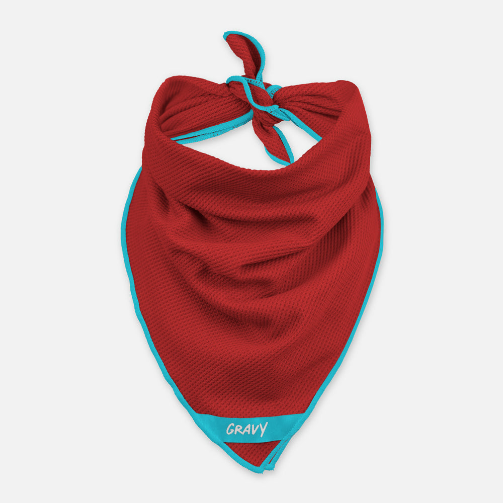 BANDANA - Maroon / Teal
