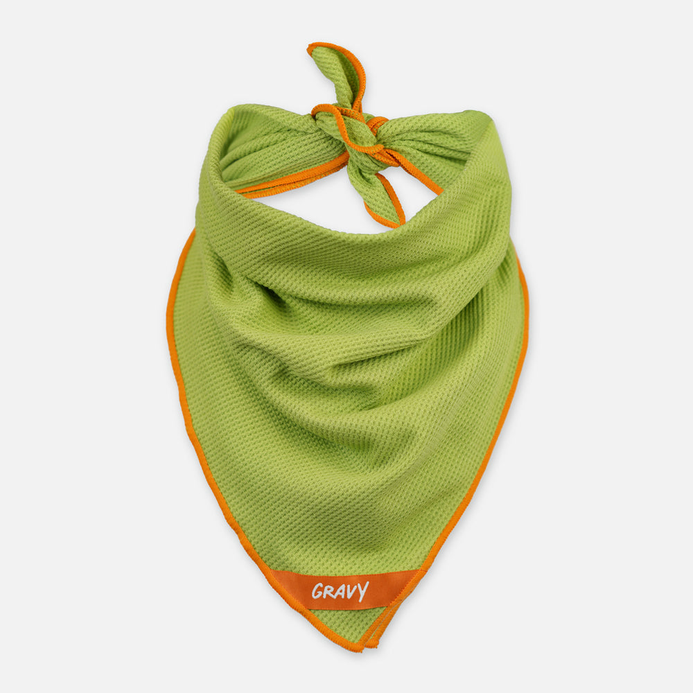 BANDANA - Olive / Orange