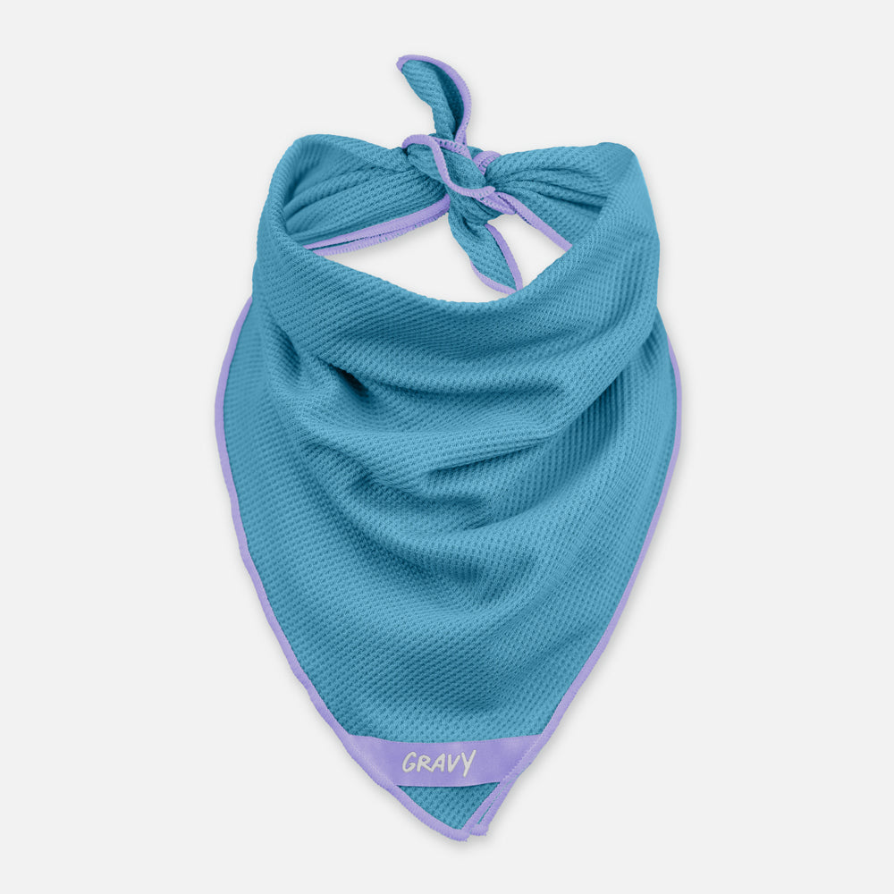 BANDANA - Sky Blue / Lilac